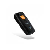 bs80_piranha_1 bs80_piranha_1